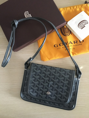 Goyard aeef2643